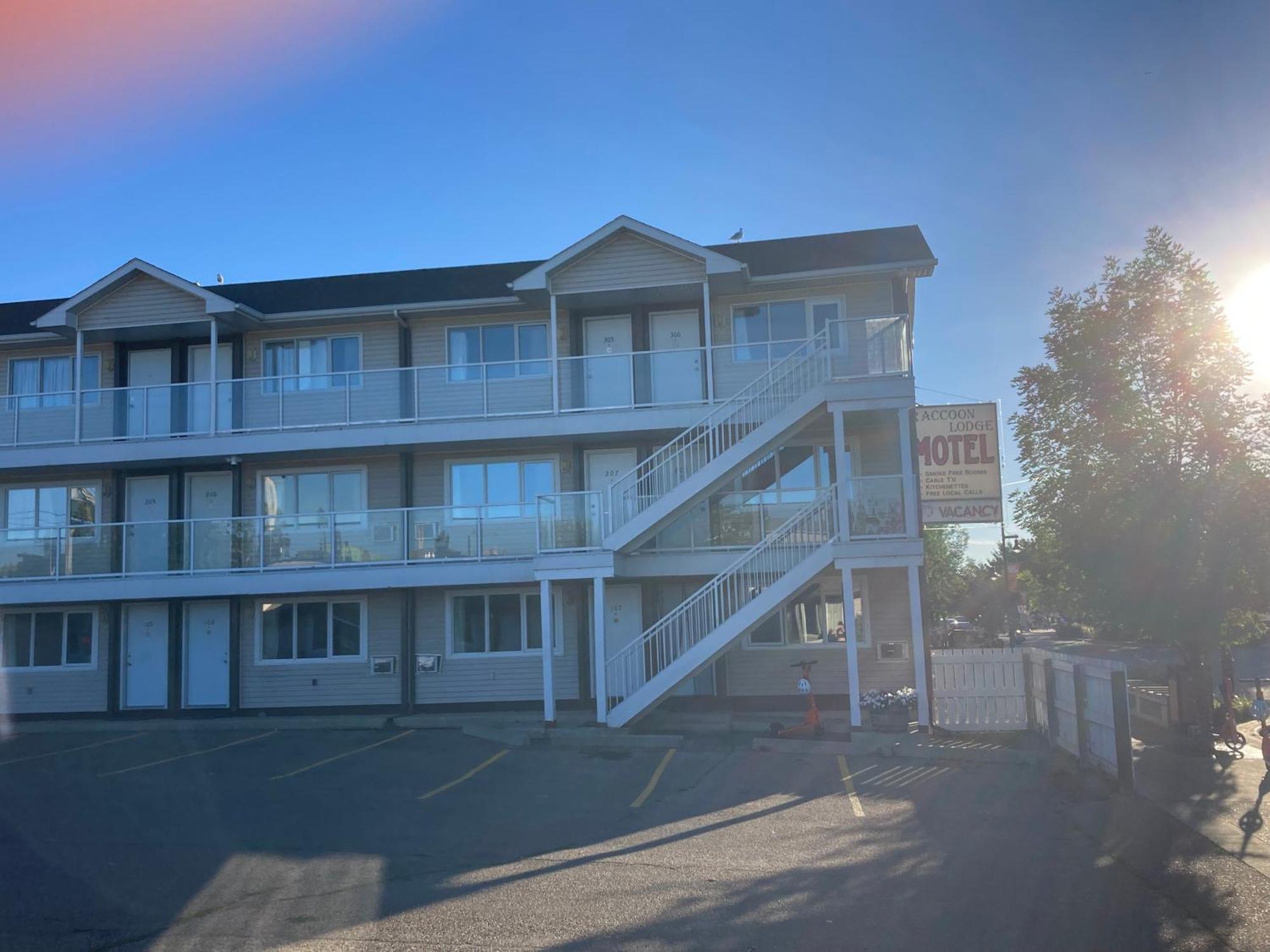 Raccoon Lodge Motel Sylvan Lake Eksteriør billede